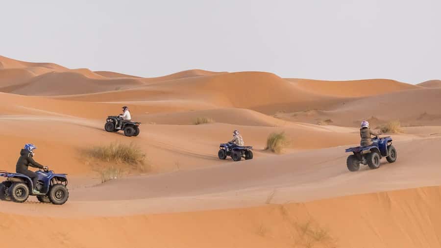Agadir/Taghazout: Quad Bike and Sandboarding Tour - The Berber tea stop: culture break that feels personal