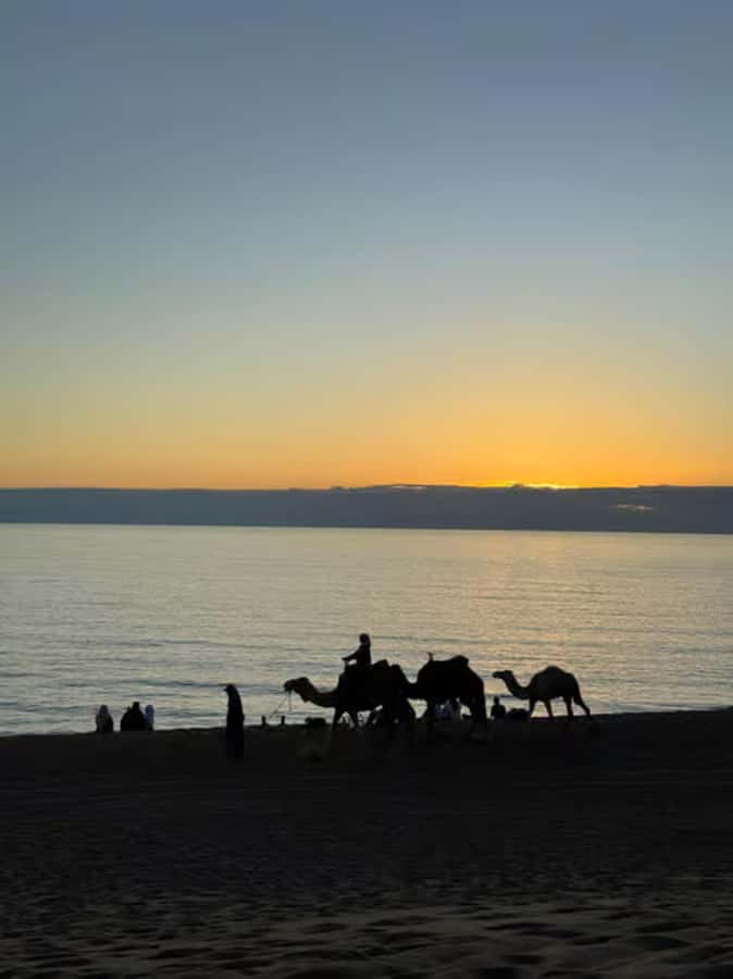 Agadir/Taghazout : Quad Bike & Camel Ride On The Beach - Safety and comfort: what’s provided, what you should plan