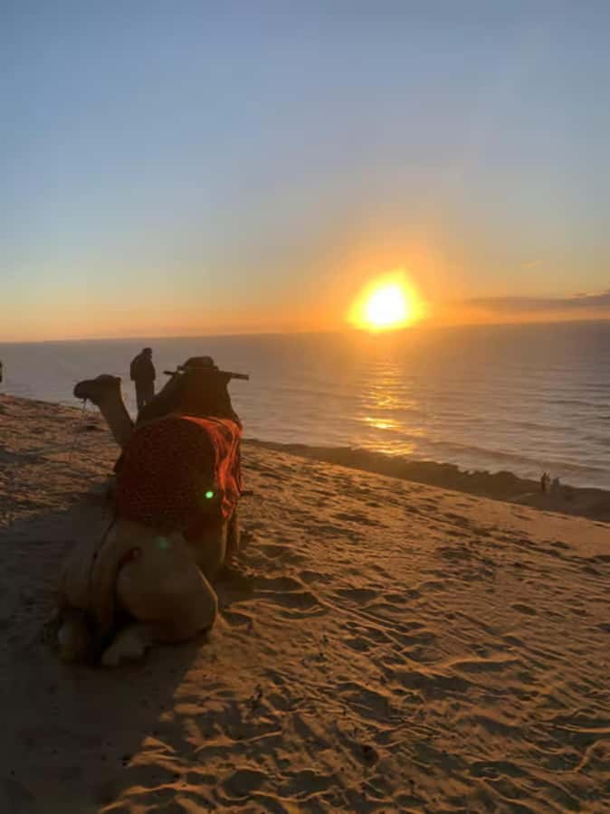 Agadir/Taghazout : Quad Bike & Camel Ride On The Beach - The Beach Part: Why 6 km of sand changes the mood
