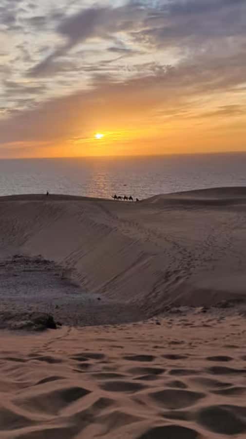 Agadir/Taghazout : Quad Bike & Camel Ride On The Beach - Pickup from Agadir or Taghazout, and how it affects your day