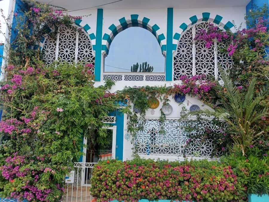 Agadir/Taghazout: Sandboarding & Visit of Canyons With Lunch - Key Points to Know Before You Go