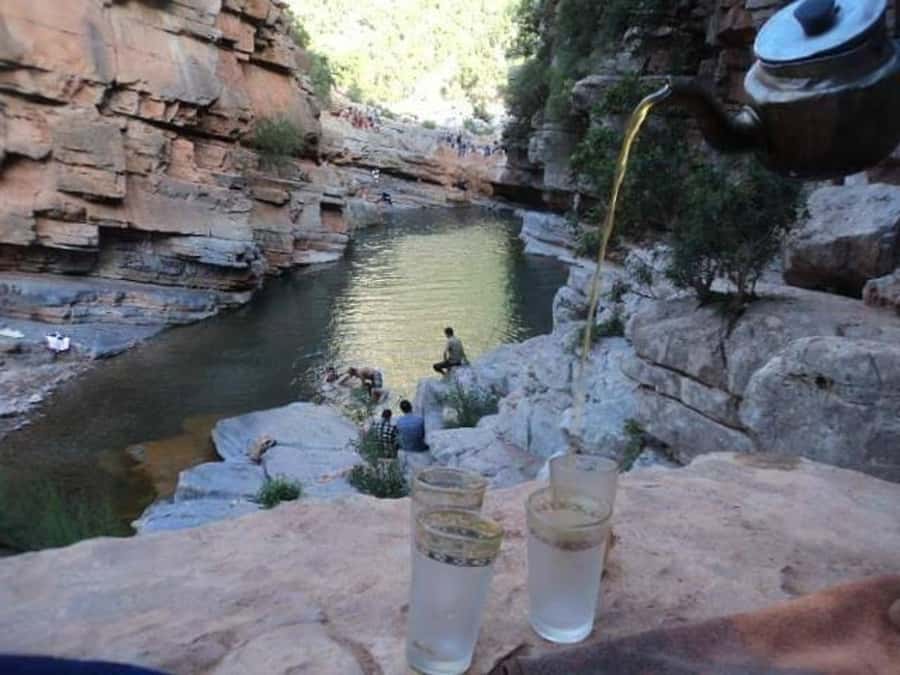 Agadir/Taghazout/Tamraght: Paradise Valley Best Tour - Key tour takeaways