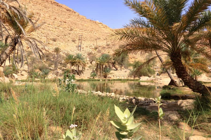 Agadir/Taghazout/Tamraght: Paradise Valley Best Tour - Natural pools and lake breaks: planning your swim