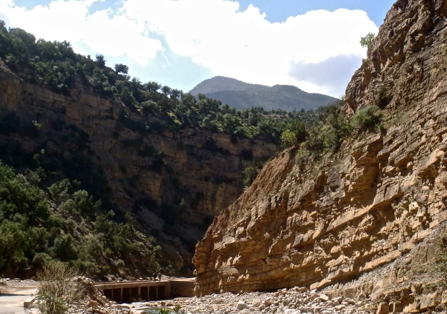Agadir/Taghazout/Tamraght: Paradise Valley Best Tour - Price and value: is $20 per person worth it?