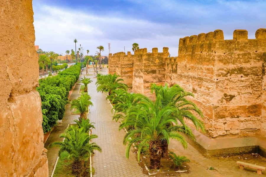 Agadir: Taroudant Oasis and Tiout Day Trip with Lunch Option - Key highlights to look for