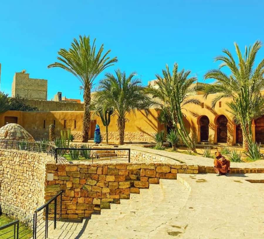 Agadir: Taroudant Oasis and Tiout Day Trip with Lunch Option - Should you book this Taroudant Oasis and Tiout day trip?