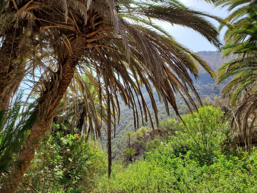 Agadir: Timlaline Desert and Paradise Valley with Camel Ride - Key things to know before you go