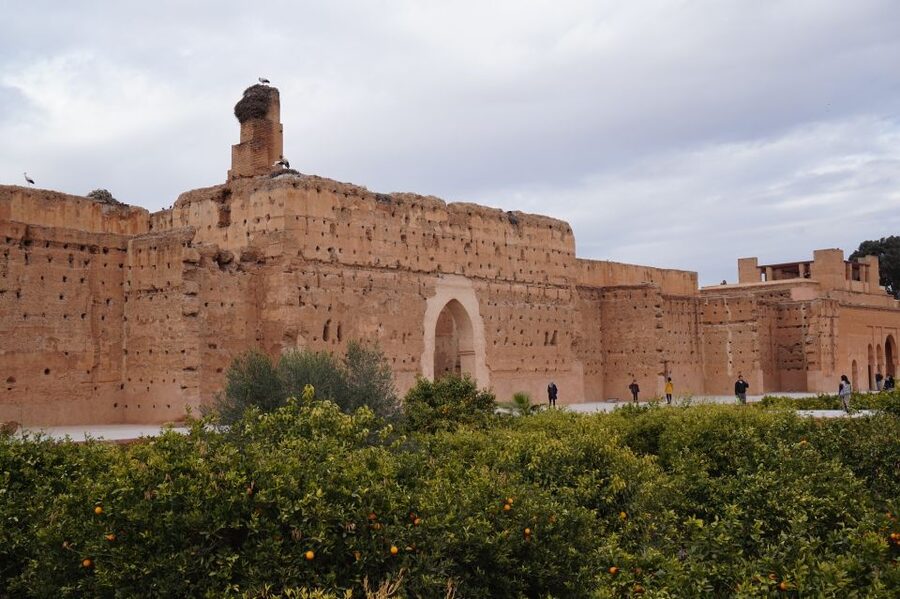Agadir To Marrakech Day Trip With Amazing Tour Guide - Key Points That Make This Day Trip Worth It