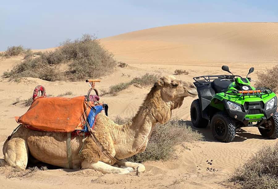 Agadir to Tifnit Desert: Quad Biking Tour with Sandboarding - The Moroccan Tea Stop, Why It’s Worth the Pause