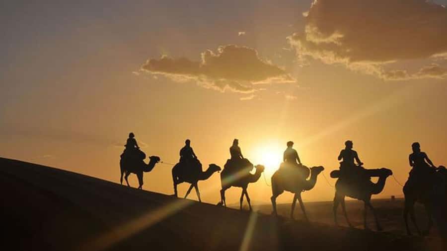 Agafay and atlas: Quad and camel experience - The real schedule: pickup, ride order, and what can steal your minutes