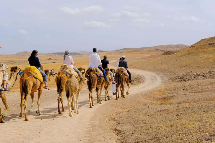 Agafay and atlas: Quad and camel experience - Value check: is $28 really a good deal?