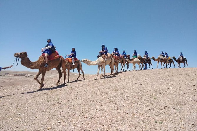 Agafay camel ride - Agafay Desert, the Sahara-like option when time is short