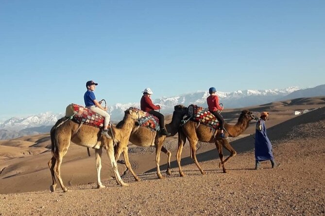 Agafay camel ride - Group size, price, and value for Marrakech travelers