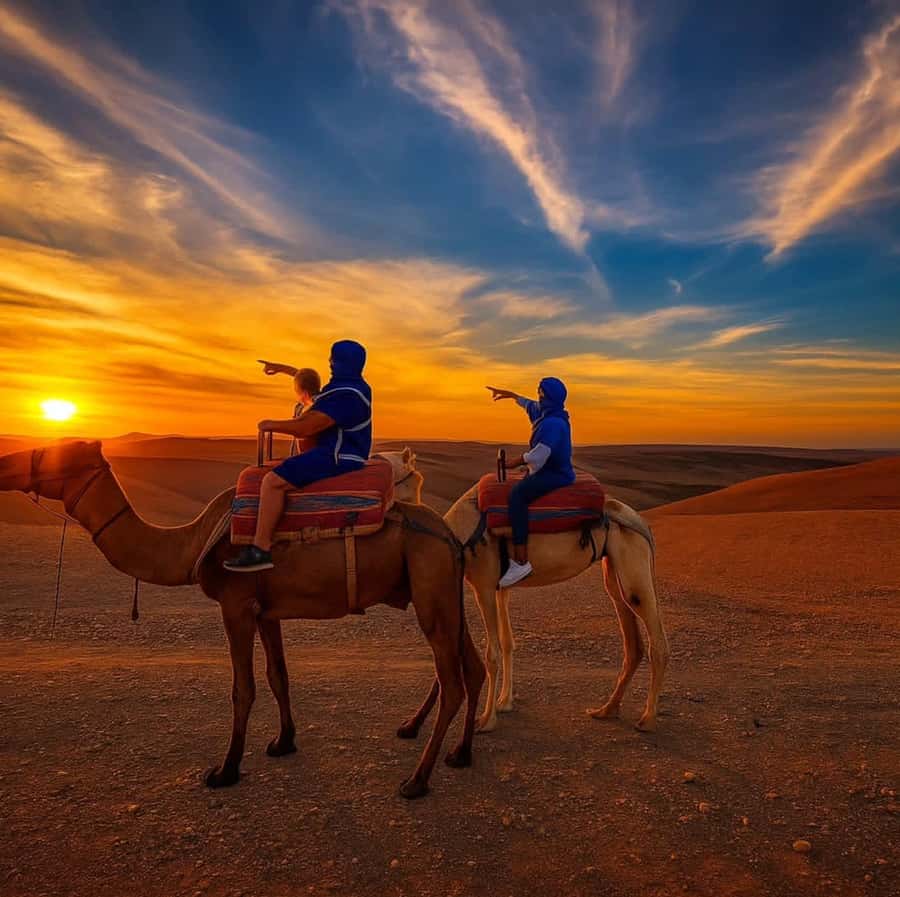 Agafay Desert & Atlas Mountain & Camel Ride Day Trip & Lunch - Key highlights you will actually feel