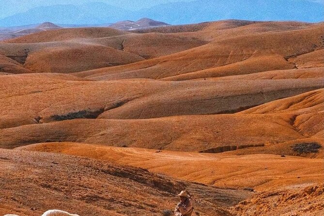 Agafay Desert: Dinner + Show with Quad Bike & Sunset Camel Ride - The Moroccan dinner show: music, fire, and a dancey ending