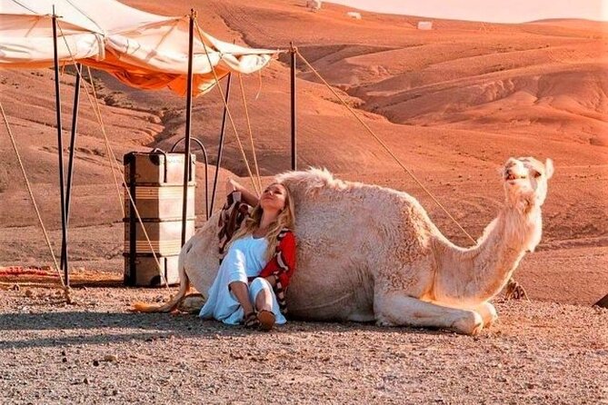 Agafay Desert: Dinner + Show with Quad Bike & Sunset Camel Ride - Sunset camel ride: calm pacing and the small costs people forget
