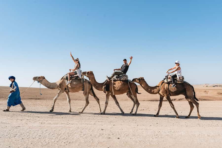 Agafay Desert Luxury Dinner w Live Music & Fire Show - Welcome Tea, One Big Tent, and How the Camp Evening Works