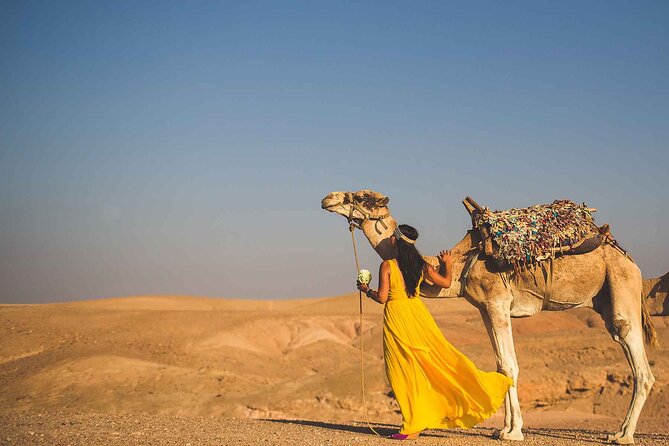Agafay Desert Package, Quad Bike, Camel Ride and Dinner Show - Who this Agafay quad and camel combo fits best