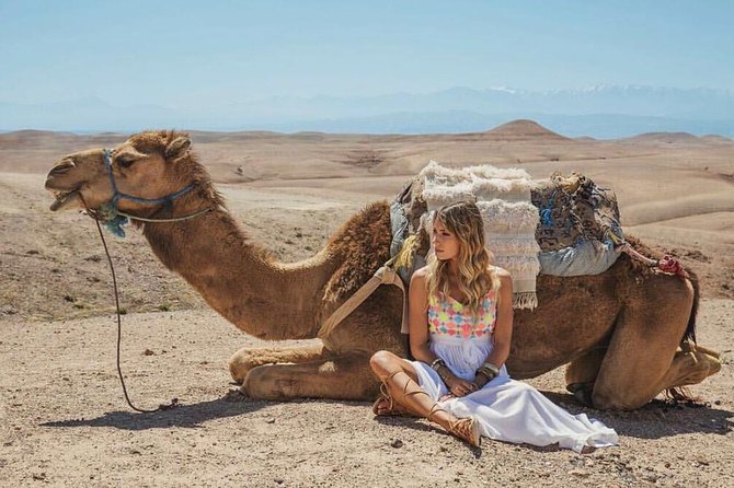 Agafay Desert Package, Quad Bike, Camel Ride and Dinner Show - Booking tips that keep the day smooth