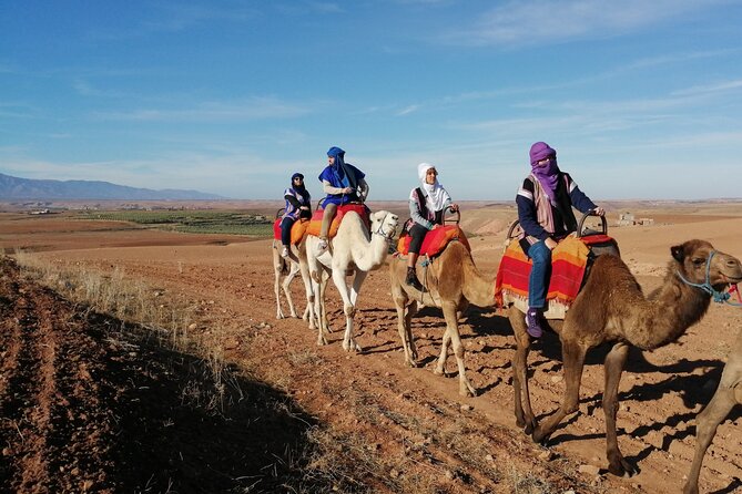 Agafay Desert Package: Quad, Camel Rides & Dinner Show or Lunch - Who should book this Agafay quad and dinner experience?