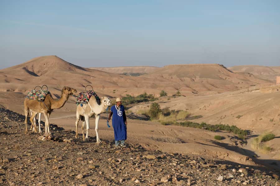Agafay Desert: Quad Bike and Camel Ride Adventure Tour - Who Should Book This and Who Should Skip It