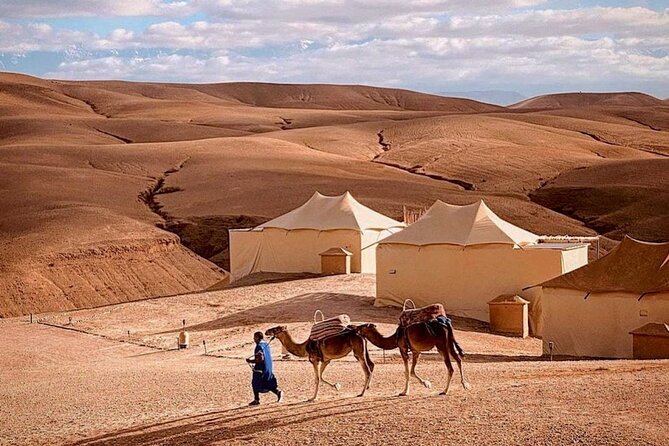 AGAFAY Desert: Quad biking, Camel Ride, Dinner and Show. - Key Highlights You Will Actually Care About