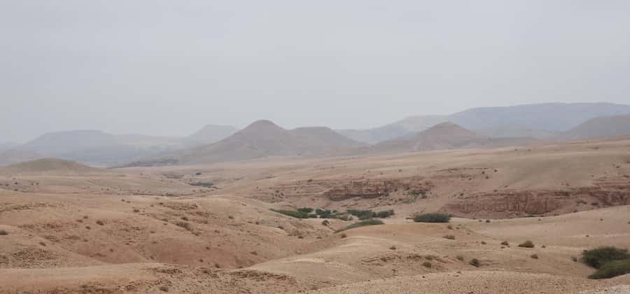 Agafay Desert: Quad Biking, Camel Ride, Lunch - Argan oil cooperative and the tea stop: learning vs. shopping