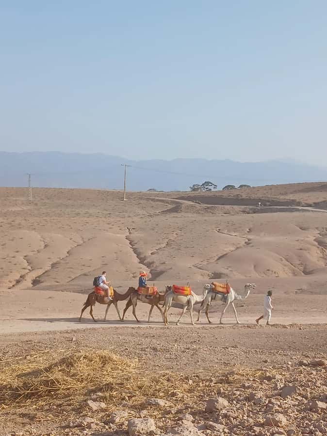 Agafay Desert: Quad Biking, Camel Ride, Lunch - What to pack and how to make the day smoother