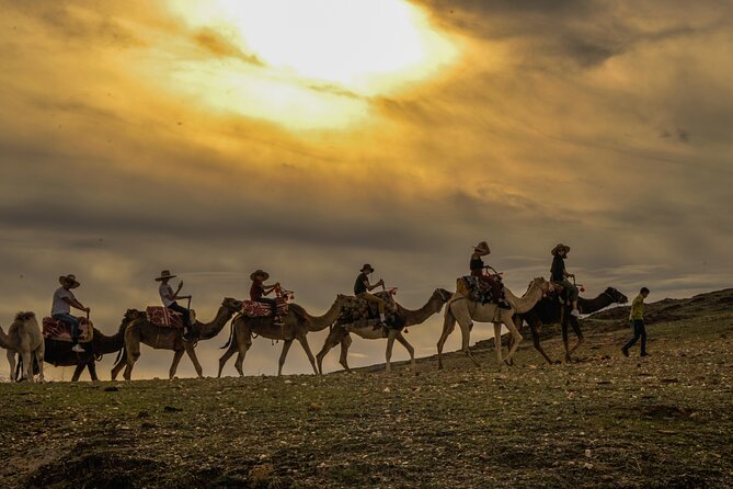 Agafay Desert - Quad camel and dinner show - Price and Value: What $46.53 Buys You in Real Time