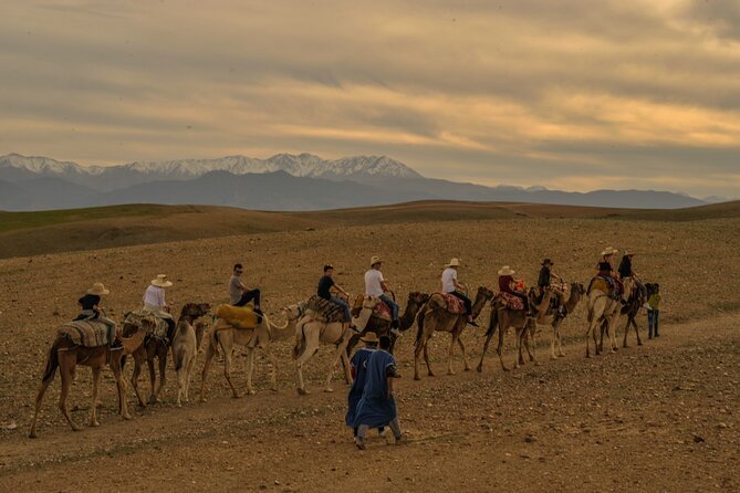 Agafay Desert - Quad camel and dinner show - Timing, Crowd Flow, and the Best Way to Enjoy the Evening
