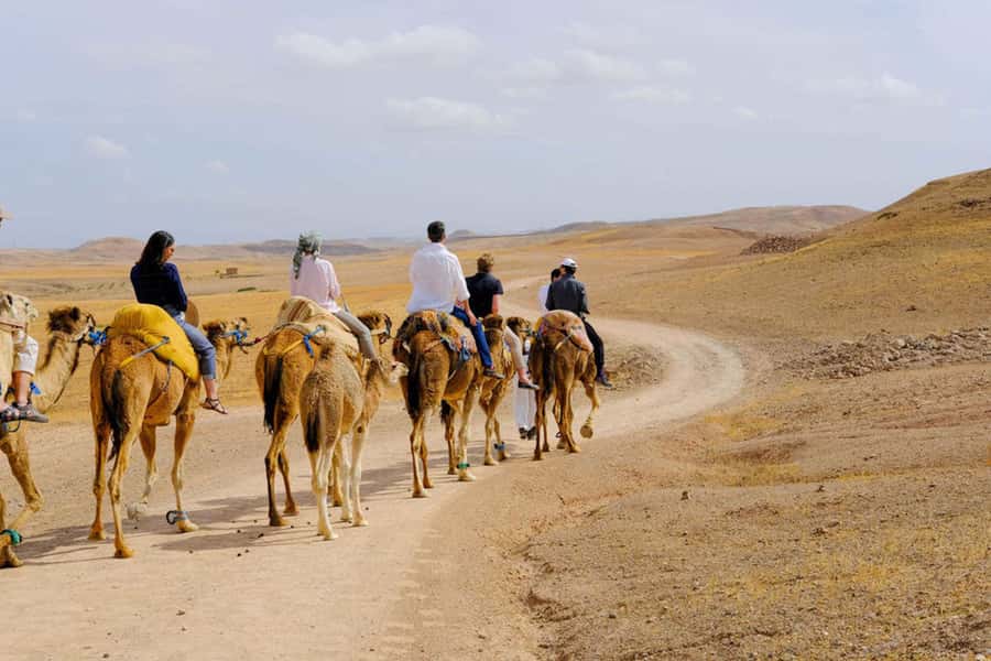 Agafay Desert: Quad, Camel Ride & Luxury Lunch with Pool - Arabian Desert Home Lunch, Berber culture, and a real break from the road
