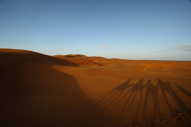Agafay Desert Sunset, Camel Ride and Dinner from Marrakech - Key Highlights You Can Plan Around