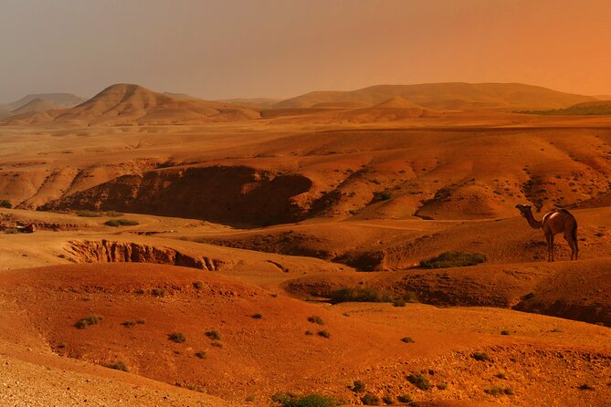 Agafay Desert Sunset, Camel Ride and Dinner from Marrakech - Agafay Desert Sunset, and Why This Half-Day Works