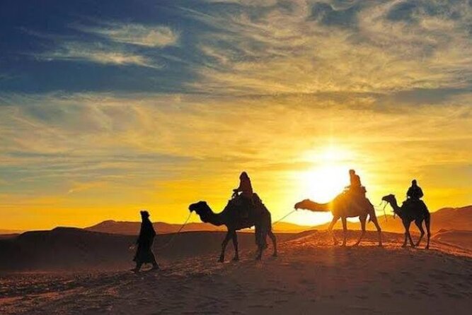 Agafay Desert Sunset Camel Ride with Dinner in Camp - Live Berber music, campfire stories, and star watching