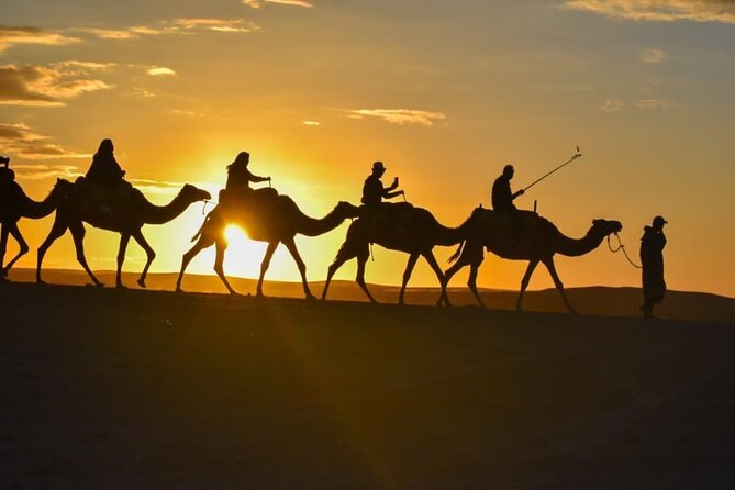 Agafay Desert Sunset Camel Ride with Dinner in Camp - Potential snags to watch for on group desert nights