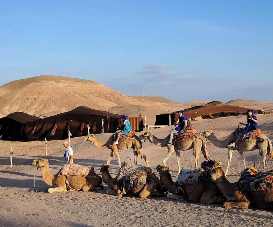 Agafay Desert Sunset Tour with Camel Ride ,Dinner and Show - The 1-Hour Camel Ride at Sunset