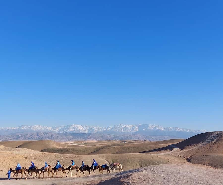Agafay Desert Sunset Tour with Camel Ride ,Dinner and Show - Stars and Moon Time: Why the Ending Matters
