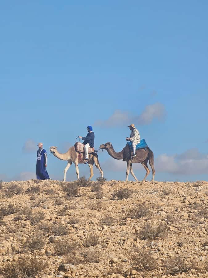 Agafay Desert Tour: Quad, Camel, Lunch & Pool Access - Camel Ride: The Slower, Photo-Friendly Part