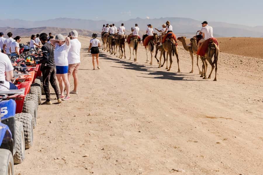 Agafay Desert Tour: Quad, Camel, Lunch & Pool Access - Timing and Pace: A Full Day Without Feeling Like a Marathon