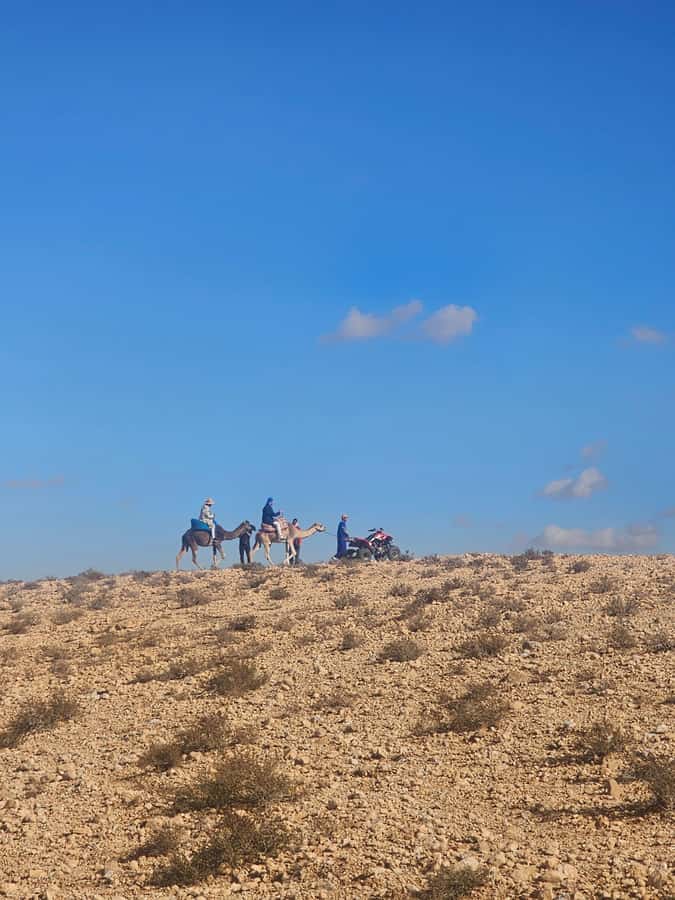 Agafay Desert Tour: Quad, Camel, Lunch & Pool Access - Value for $81: What You Are Really Paying For
