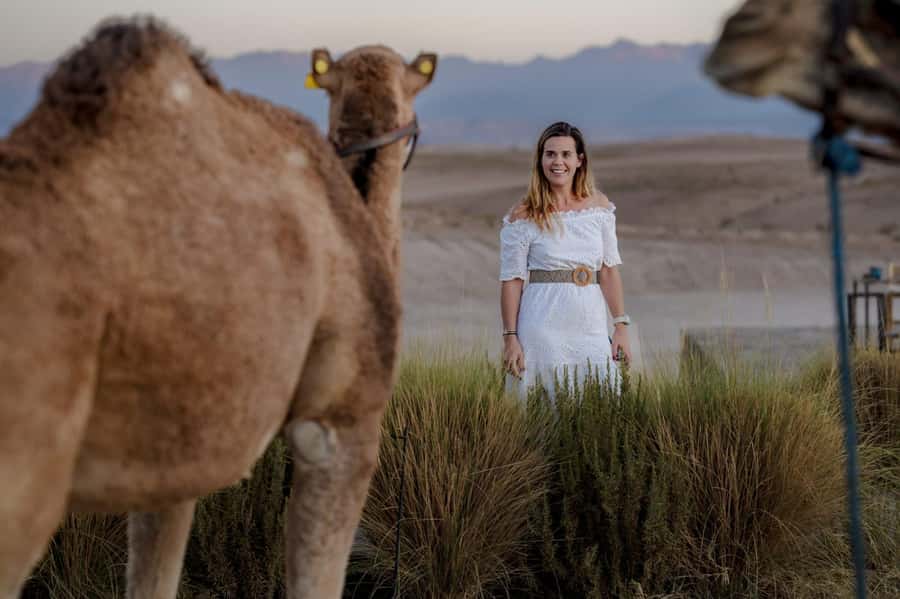 Agafay Desert Tour: Quad, Camel, Lunch & Pool Access - From Marrakech Pickup to the Desert Gate