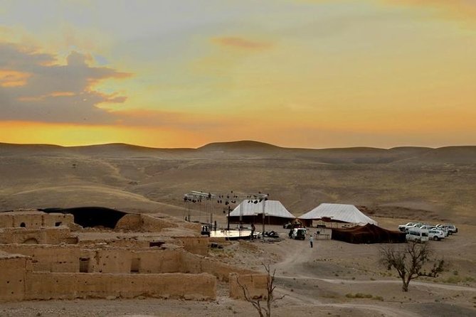 Agafay Desert Trip from Marrakech - Getting close to wildlife, what to expect and what not to chase