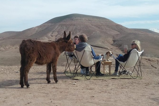Agafay Desert: Your Exclusive Luxury Retreat Under the Stars - Key highlights to look for