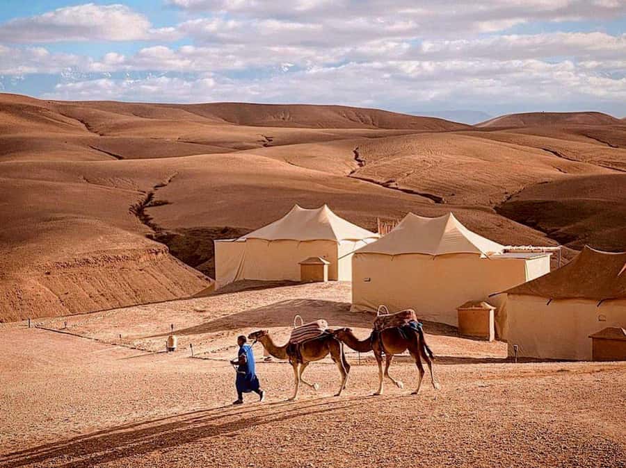 Agafay: Half-Day Rocky Desert Quad & Camel Ride with Lunch - Should You Book This Agafay Quad and Camel Ride?