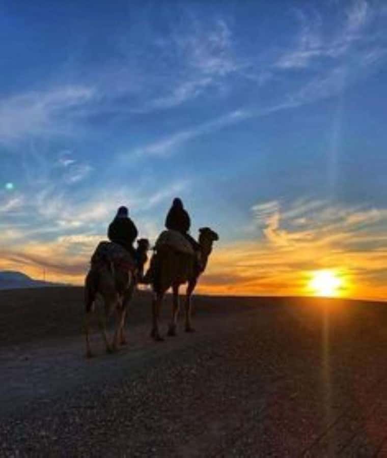 Agafay: Quad, Camel Ride & Dinner Show from Marrakech - The argan oil cooperative stop and Moroccan tea moment