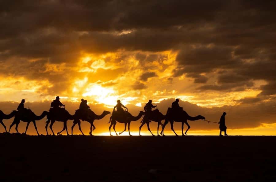 Agafay: Quad, Camel Ride & Dinner Show from Marrakech - Price and value: why $22 can work surprisingly well