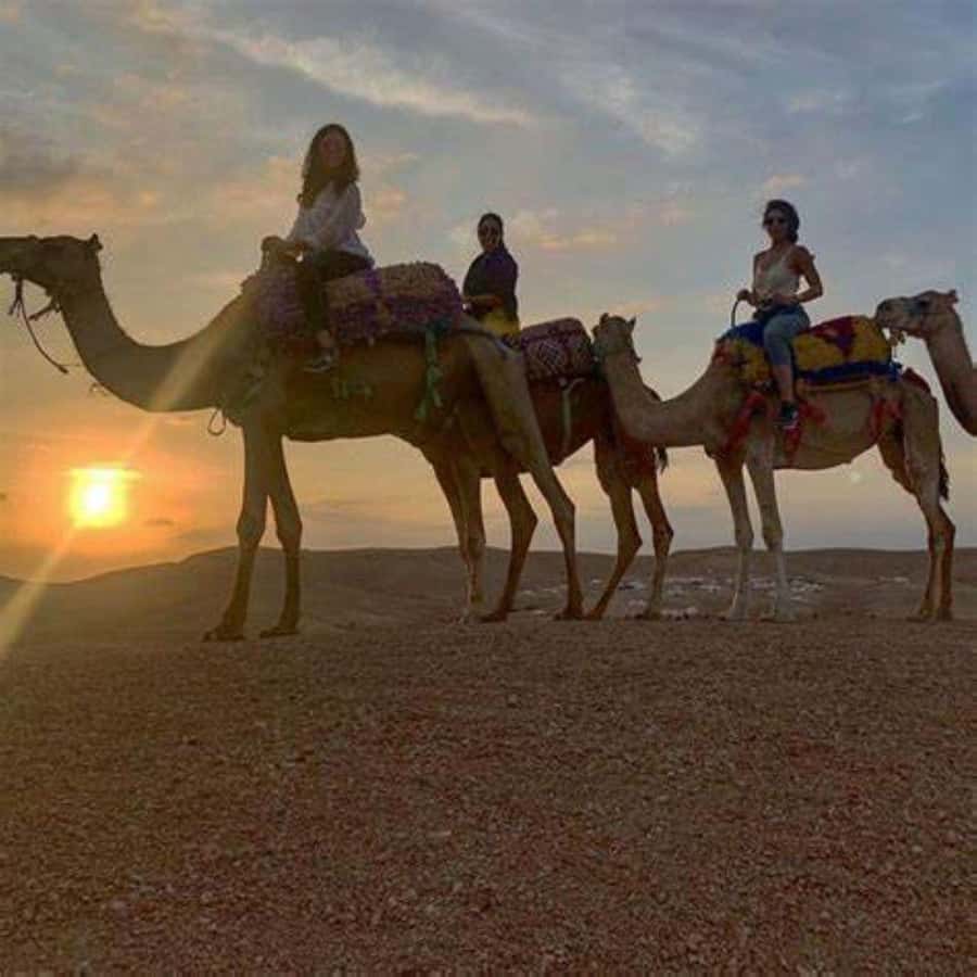 Agafay: Quad, Camel Ride & Dinner Show from Marrakech - Who should book this Agafay quad, camel ride, and dinner show