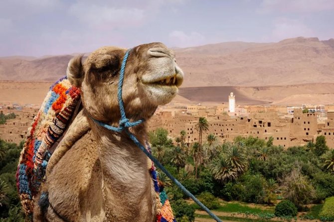 Ait ben haddou and Ouarzazate day trip - Taourirt Kasbah and Atlas Film Studios in Ouarzazate: Quick Hits, Then Back on the Road
