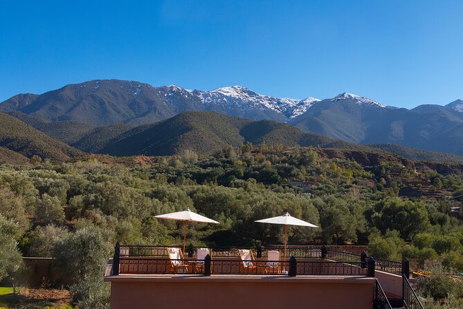All in One - Special Day With the Berbers - Atlas Mountains - 5 Key Things You’ll Notice on This Atlas Berber Day