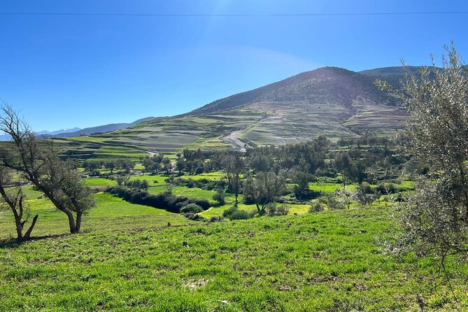 Amizmiz: Berber Villages & Atlas Mountains Tour - Why Amizmiz and the High Atlas hike feels like the point